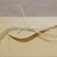 A lock of George Washington’s hair has been found inside an old book. (Image: Union College)